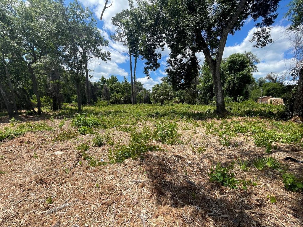 Photo of County Road 42, Umatilla, FL 32784 (MLS # G5113247)