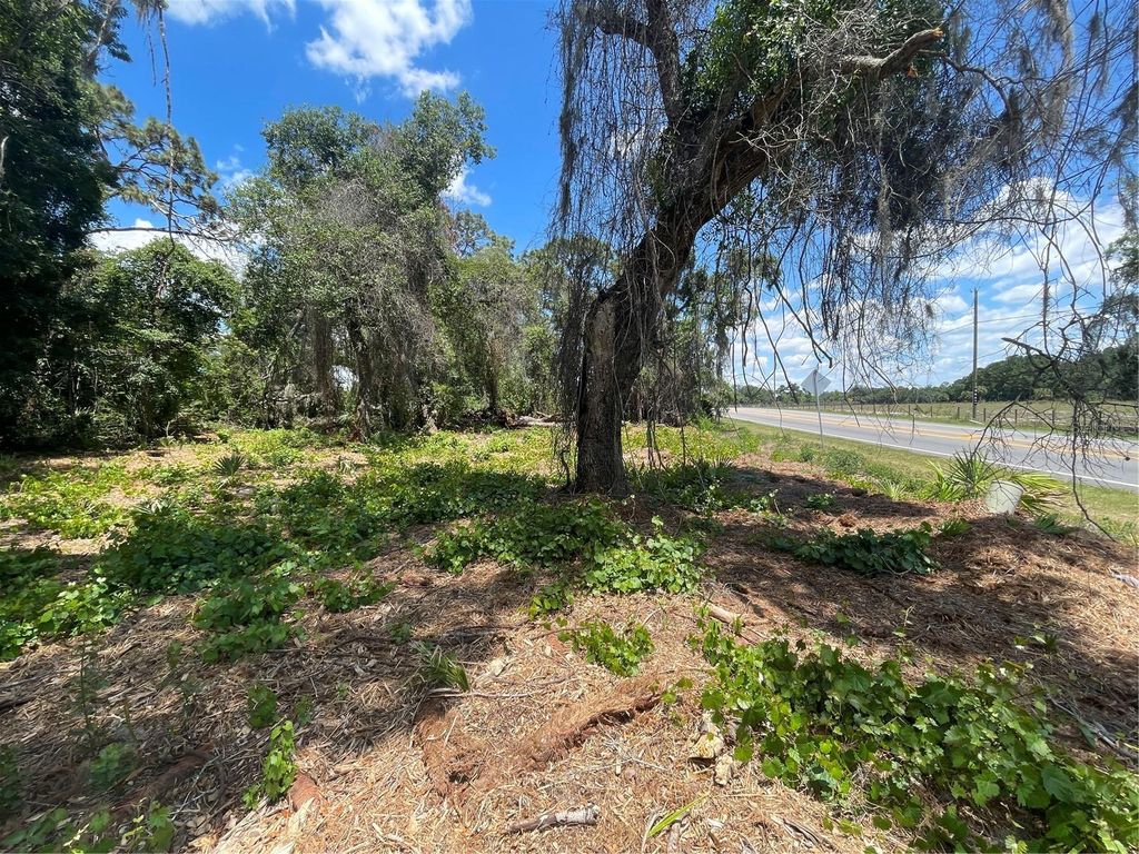 Photo of County Road 42, Umatilla, FL 32784 (MLS # G5113247)
