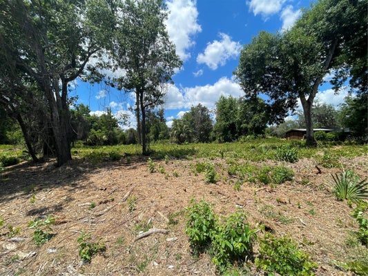 UMATILLA BLVD, UMATILLA, FL 32784 - Image 86cdaf23bdf8fda5a03a145b9286bc13/732184536