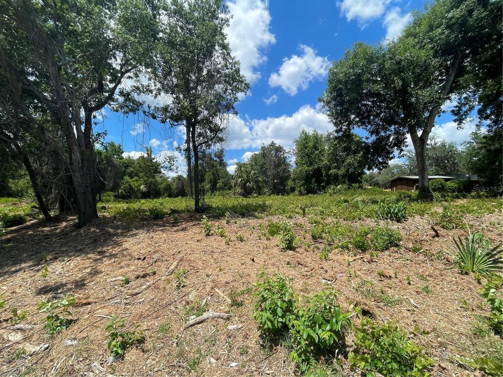 Photo of County Road 42, Umatilla, FL 32784 (MLS # G5113247)