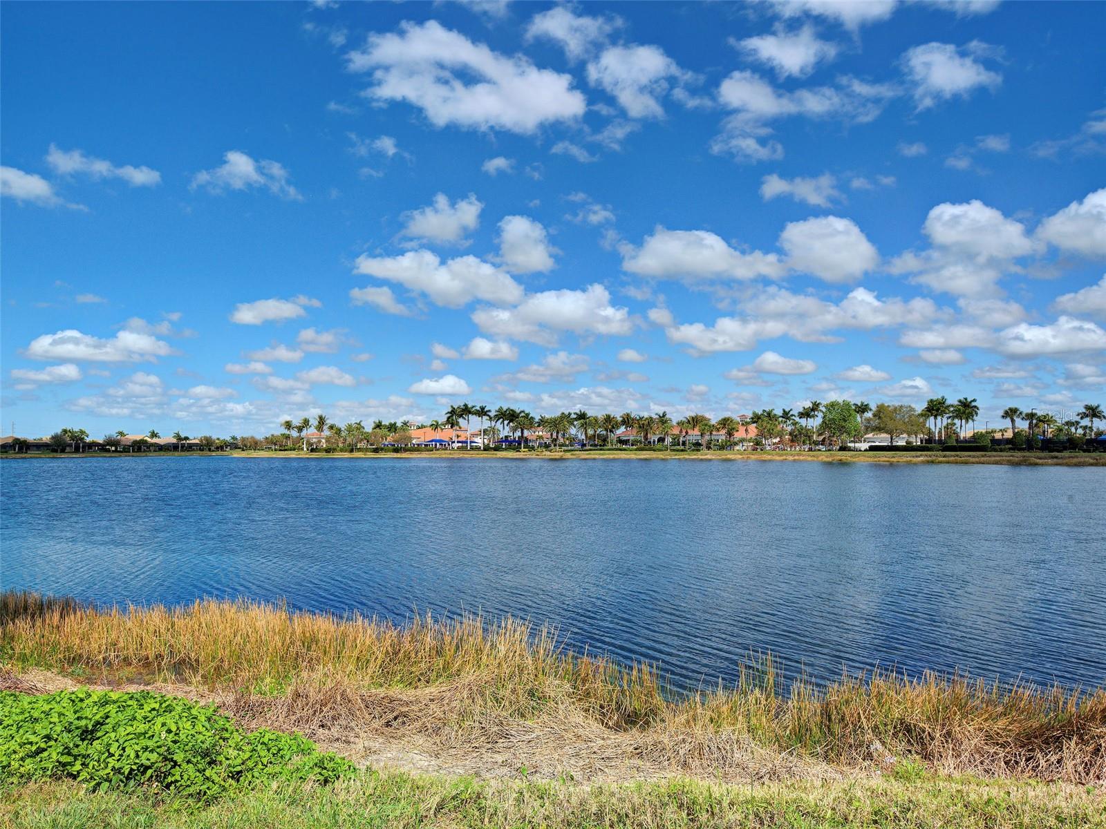 ISLANDWALK AT THE WEST VILLAGES - Residential