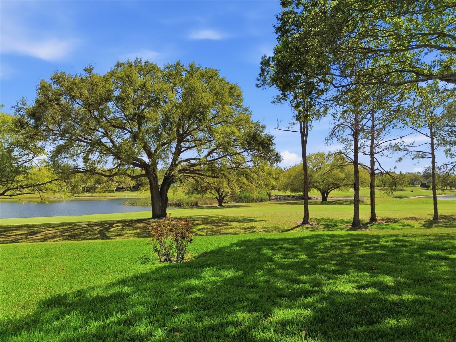 VILLAGE GREEN - Residential