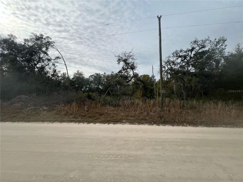 SE 179TH AVE SILVER SPRINGS FL 34488