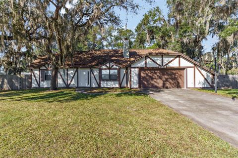 A home in FRUITLAND PARK