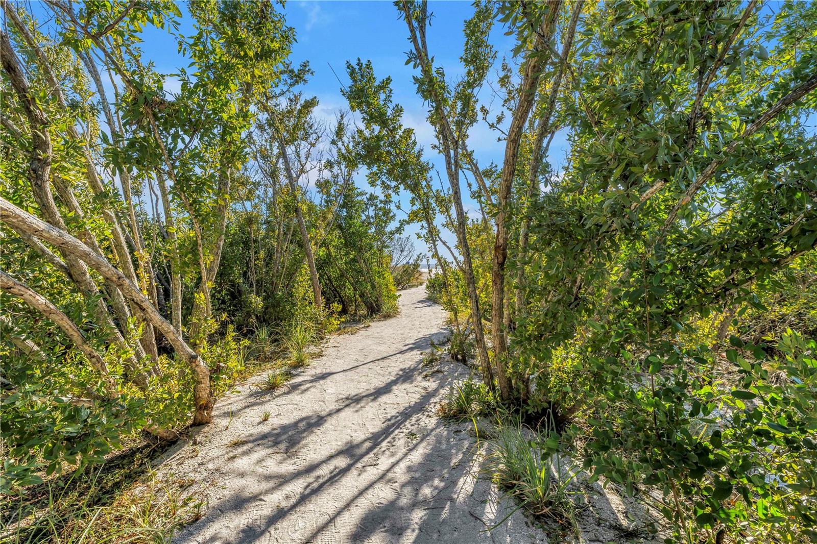 PLACE 450 - Residential