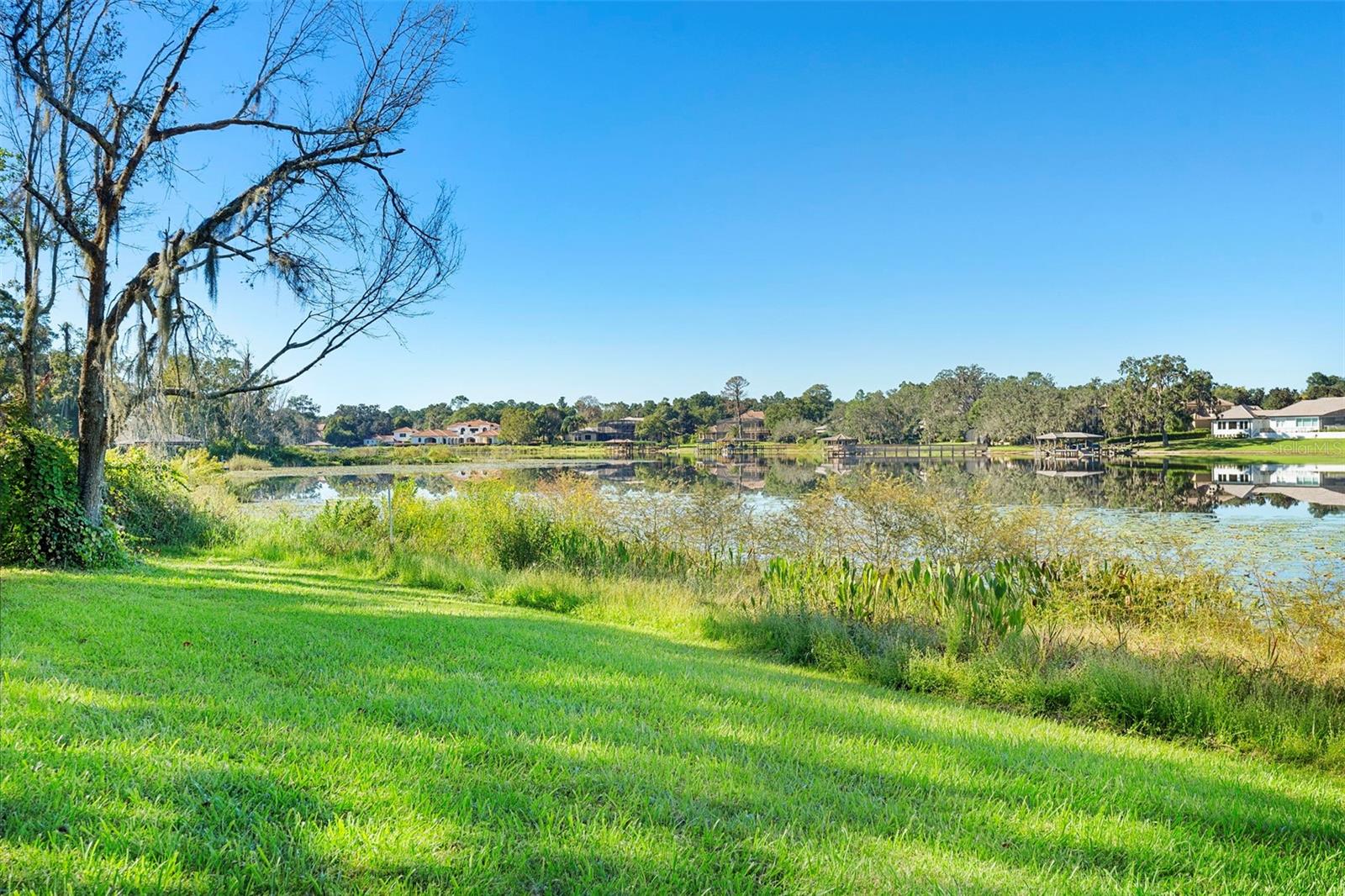 MARKHAM WOODS - Residential