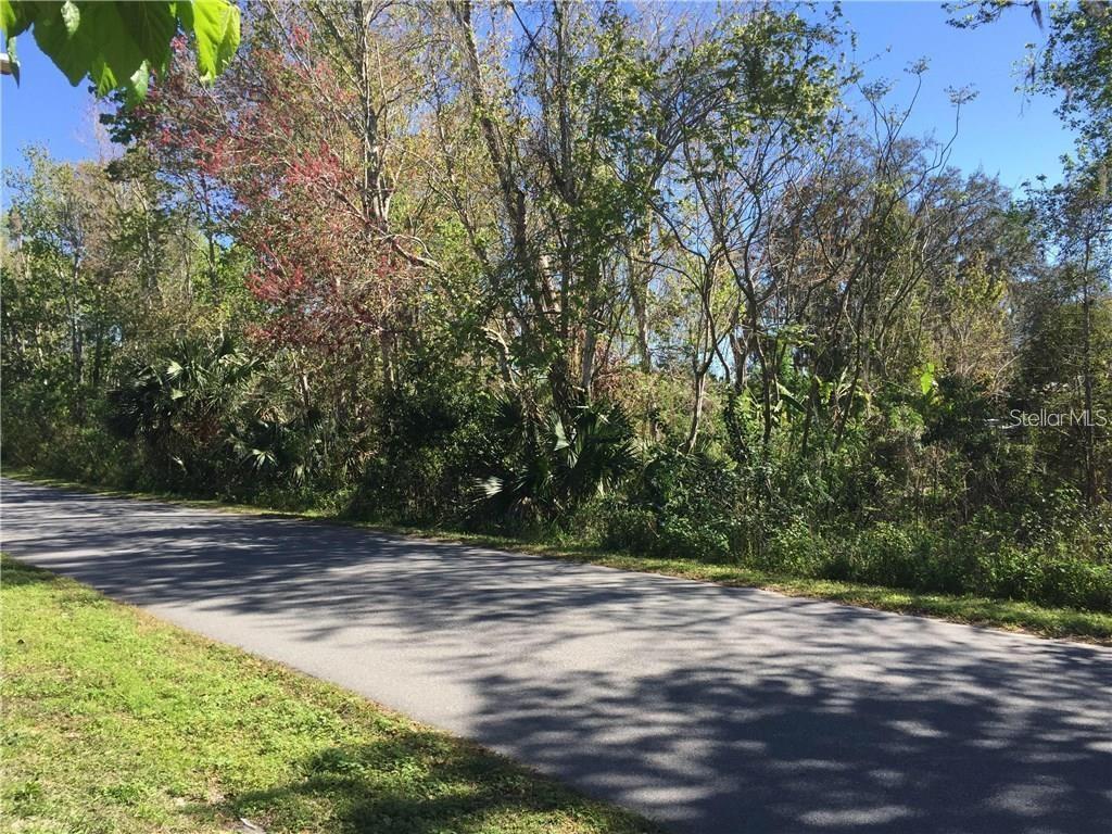 LEES 1ST ADD TO OVIEDO - Land