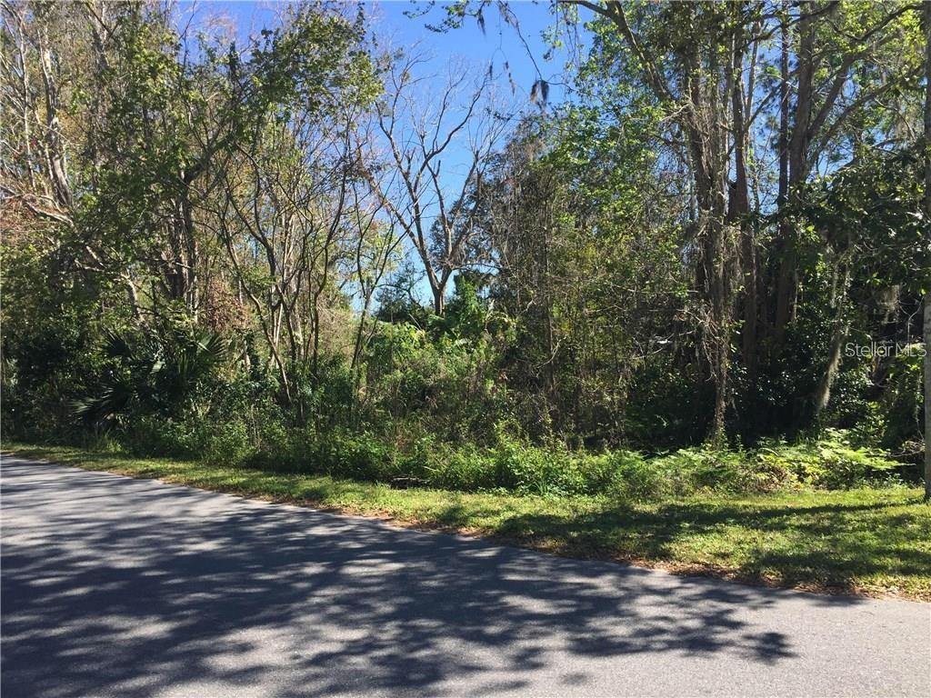 LEES 1ST ADD TO OVIEDO - Land