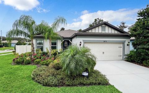 2873 DOLORES HOME AVENUE VALRICO FL 33594