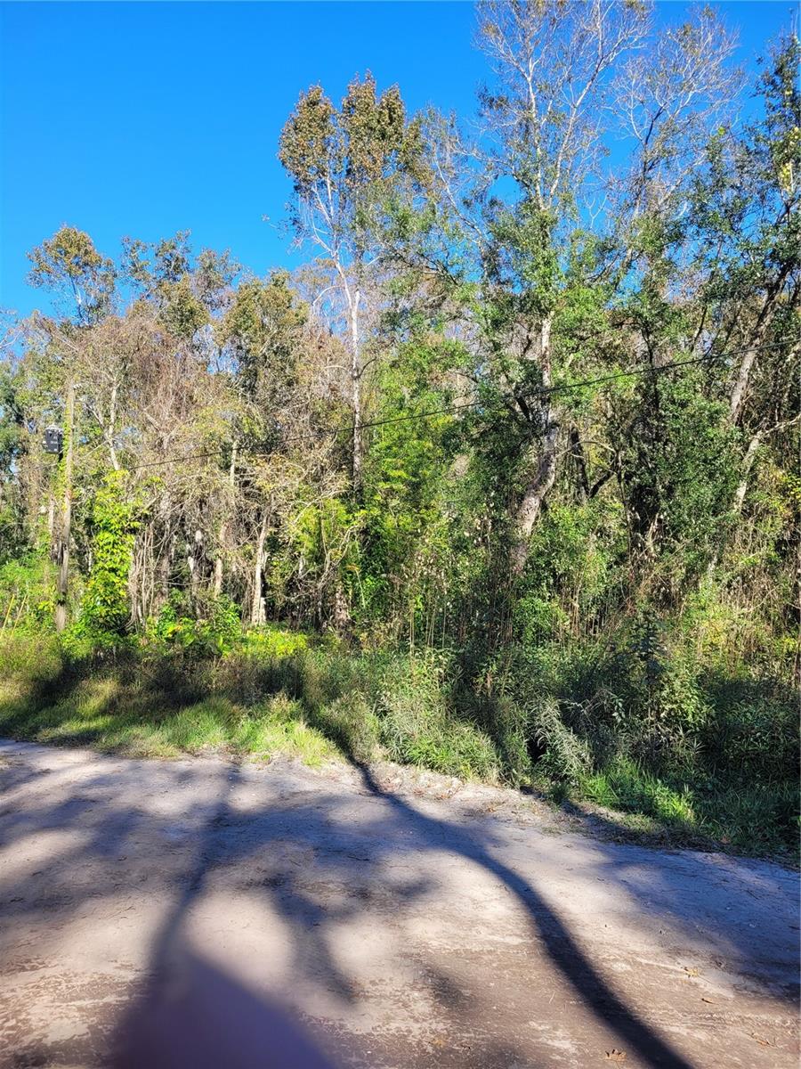 Love being in the country but want the convenience of the city? Moon Lake Estates is the perfect place to call home. These two lots boasts mature landscaping and fruit trees on the property. Located on a private road and cul-de-sac, this property is very private. Moon Lake Estates is located near shopping and schools. State Road 589 is only minutes away making it convenient travel to Tampa etc. Beaches are only 45 minutes away. These two lots have potential and are perfect for a single family home or mobile home since it is zoned AR. Call today for a new home site tomorrow.
