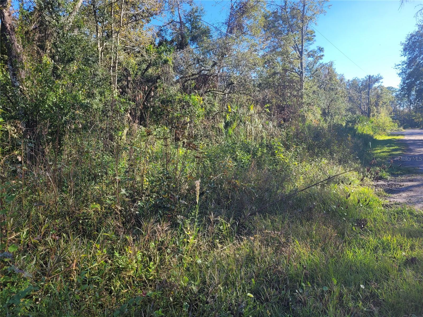 MOON LAKE ESTATES - Land