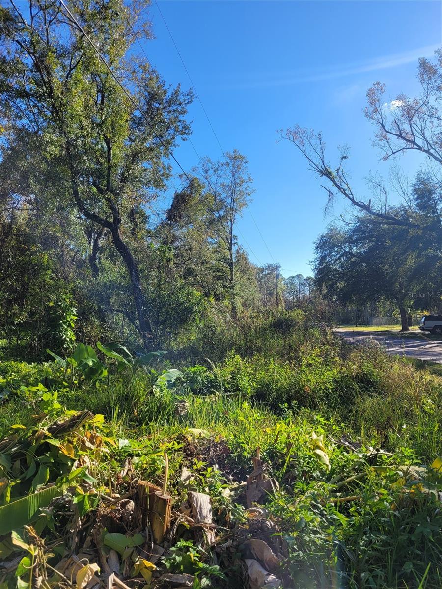 MOON LAKE ESTATES - Land