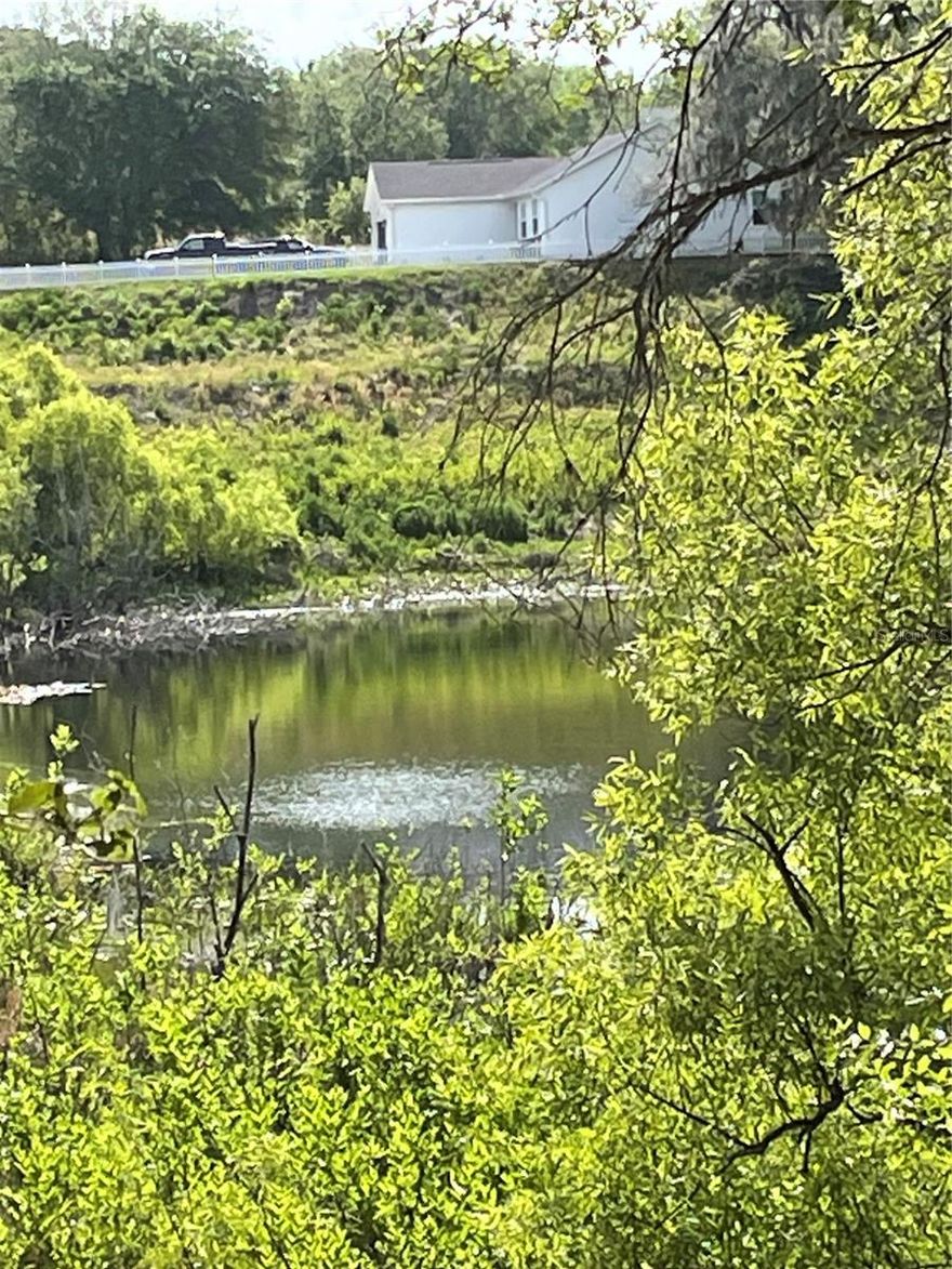 New homes being built now on this beautiful pond view. In the morning with your first cup of coffee, watching the sun come up over the water! This tranquil area leaves all the traffic noise behind, but keeps you close to all the shopping and restaurants you need. Mobile and modular homes allowed. Utility pole close by. Close to the Villages and chain of Lakes! Easiest way to get to the site is from Lake Griffin Rd, Rt onto Grays Airport Rd, Rt onto Palm St.