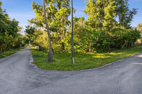 Lot 16 QUEBEC AVENUE DE LEON SPRINGS FL 32130