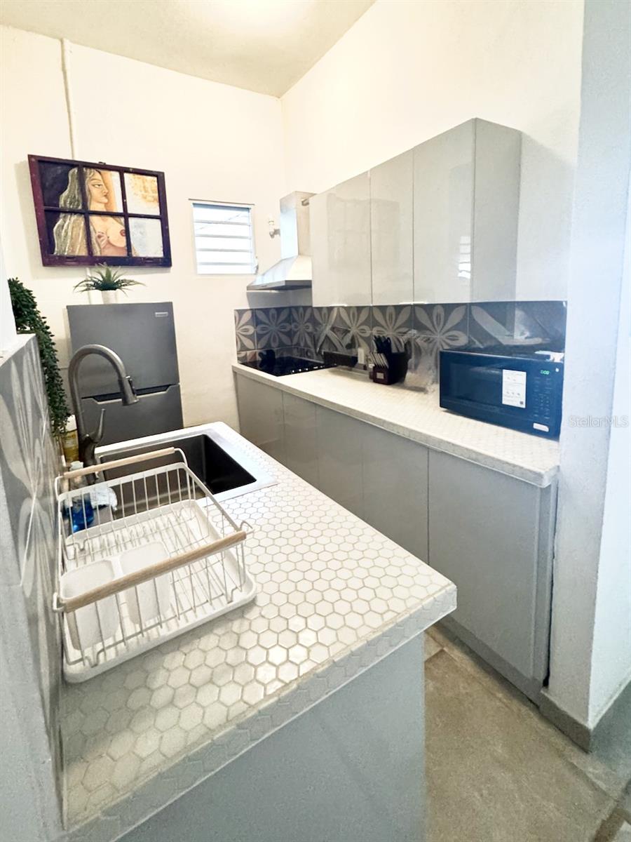 SANTURCE NORTE - Residential