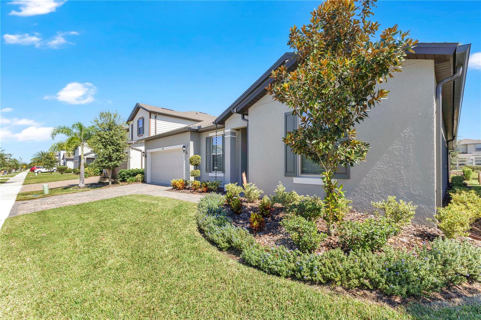 2817 MATERA DRIVE
