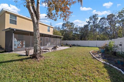 A home in RIVERVIEW