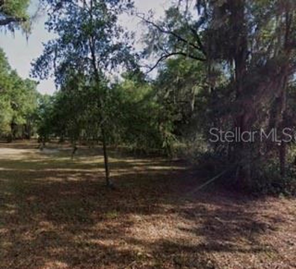 Photo of 3009 W Laurel Street, Lecanto, FL 34461 (MLS # TB8479376)