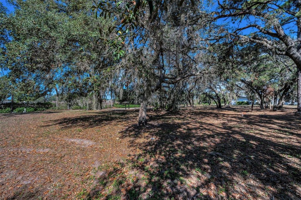 Photo of 1134 Bellamare Trail, Trinity, FL 34655 (MLS # W7872911)