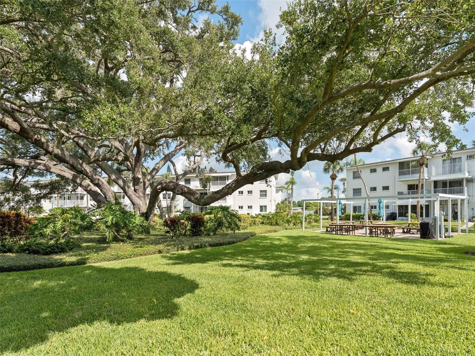 THE FOURTH BAYSHORE - Residential