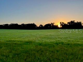 Welcome to this beautiful 13.68-acre property, featuring flat to gently rolling terrain, ideal for your dream home or
farm. Situated in the highly desirable area of Marion County, you will be surrounded by breathtaking horse
farms, elite trainers across various disciplines, and world-class competition facilities such as the World
Equestrian Center, HITS, Persaud Legacy Farm, and Majestic Oaks, among others.