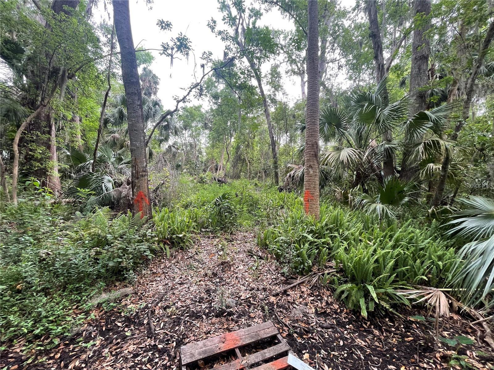 PLANTATION ESTATES UNIT 31 - Land