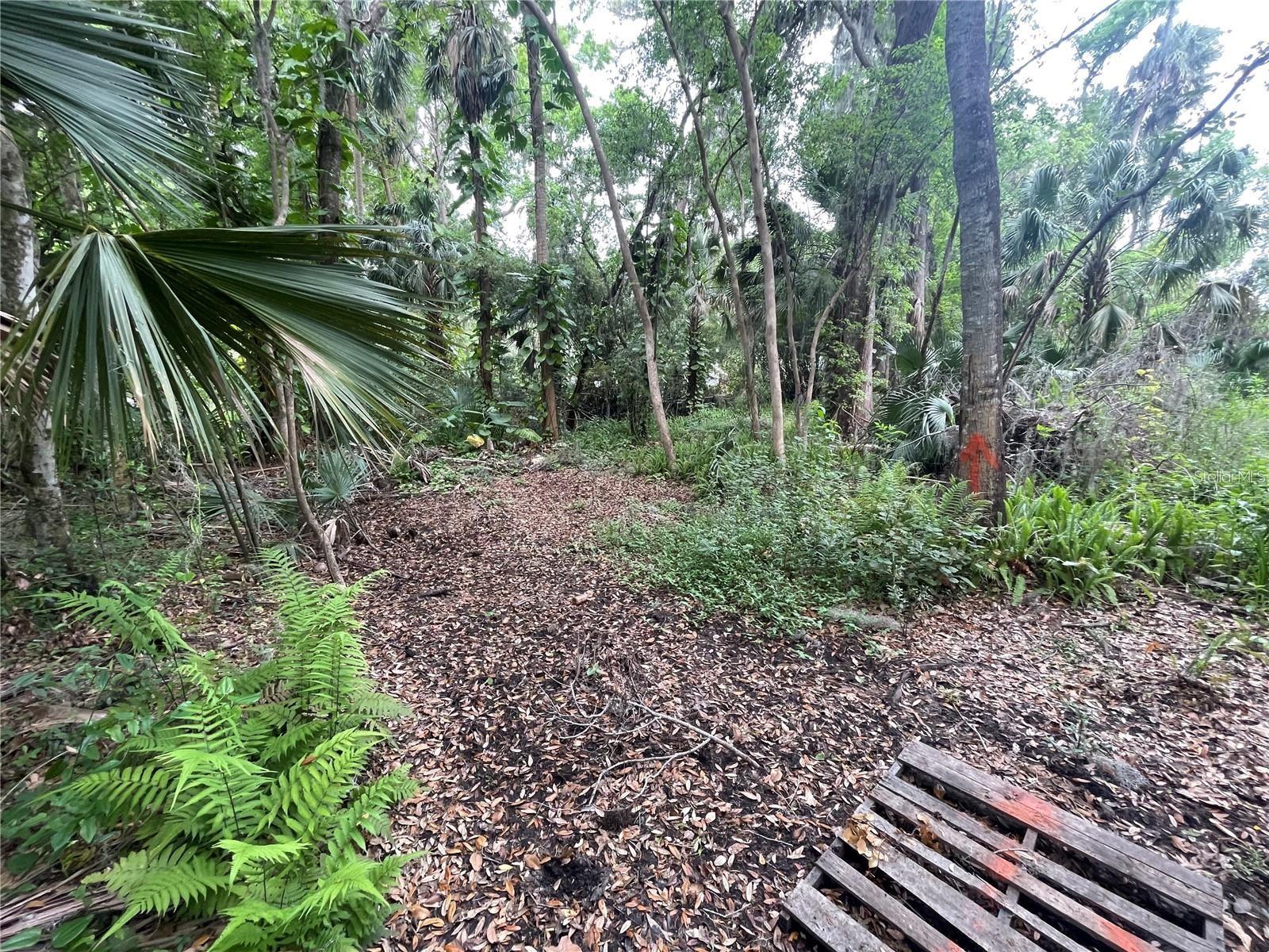 PLANTATION ESTATES UNIT 31 - Land