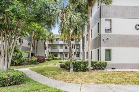 A home in CLEARWATER