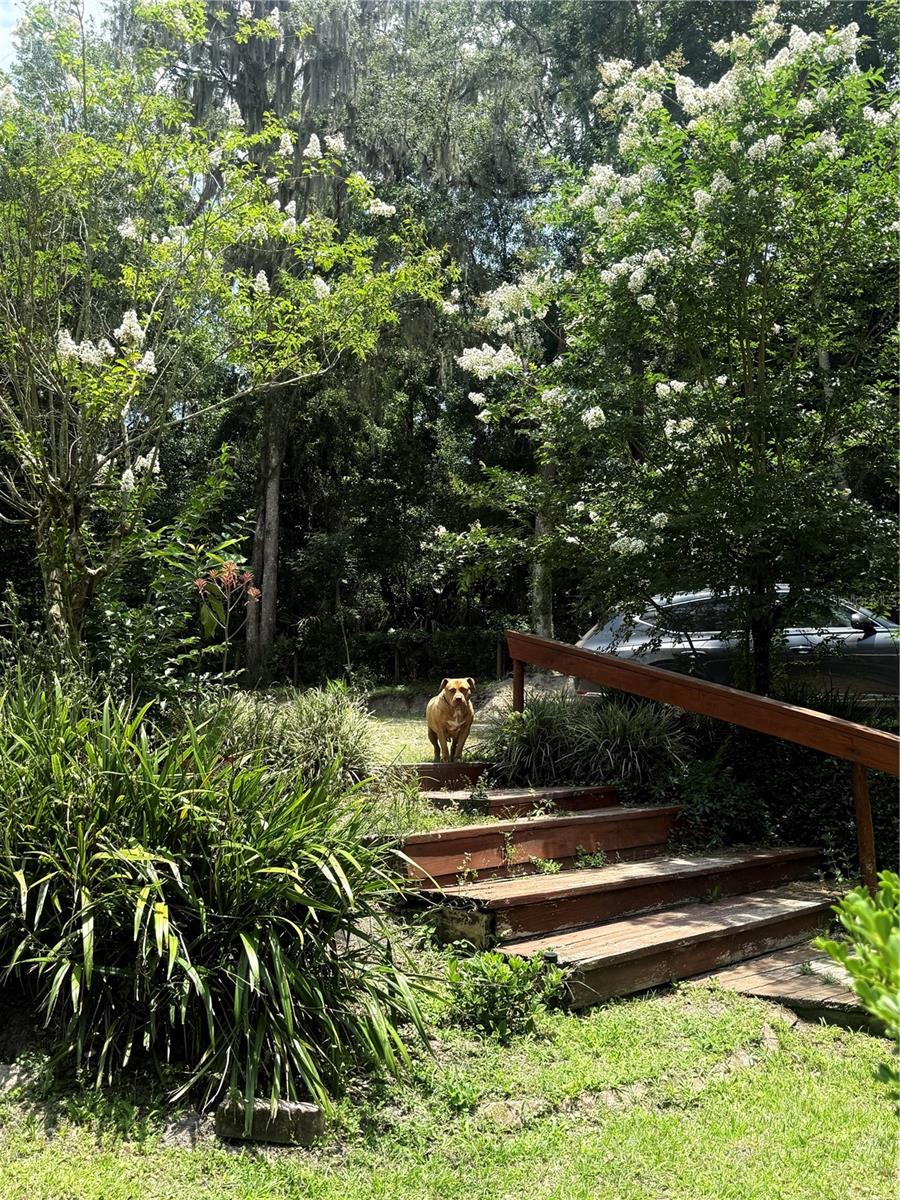 CREEK SIDE FOREST - Residential