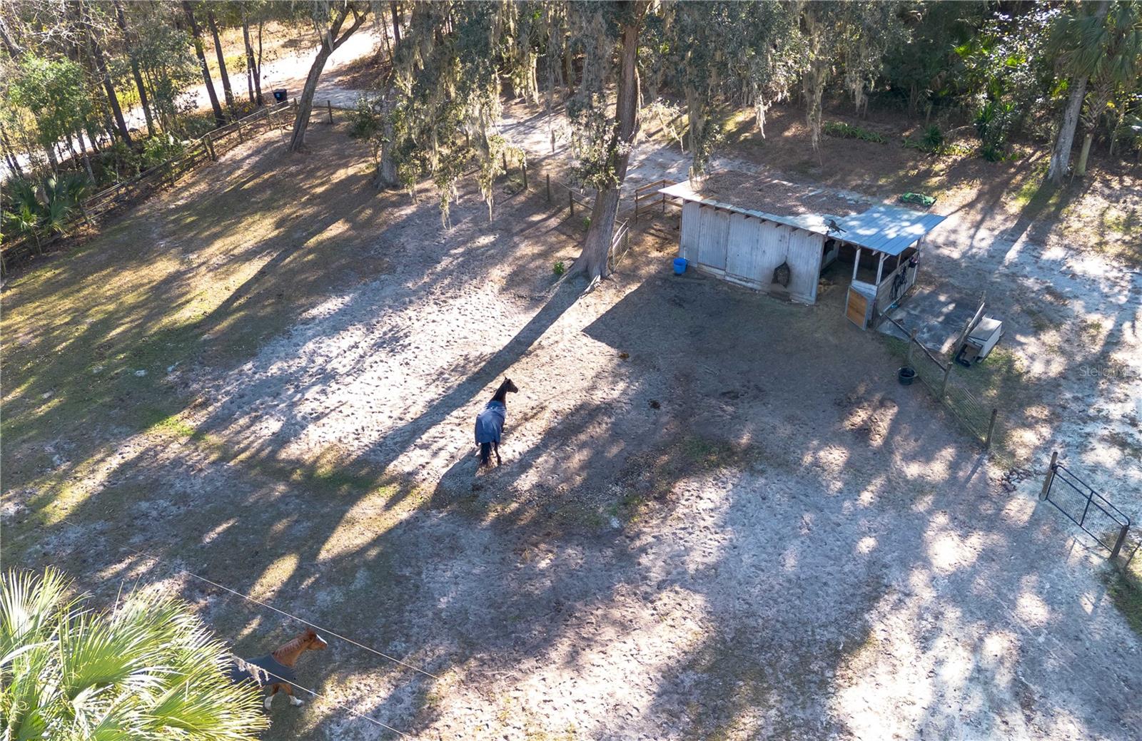 CREEK SIDE FOREST - Residential