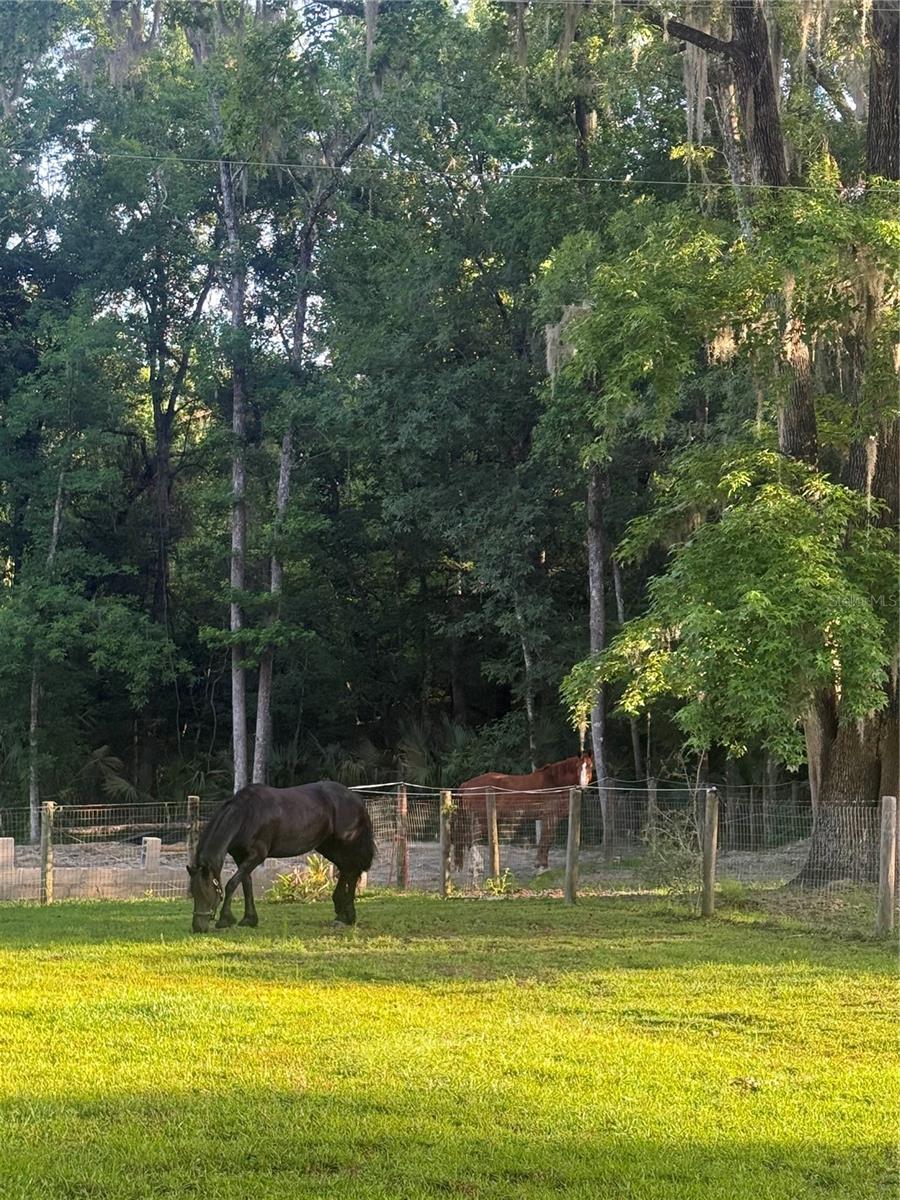 CREEK SIDE FOREST - Residential