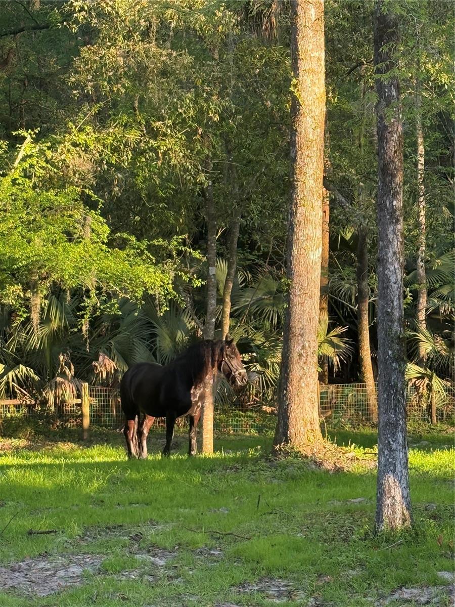 CREEK SIDE FOREST - Residential