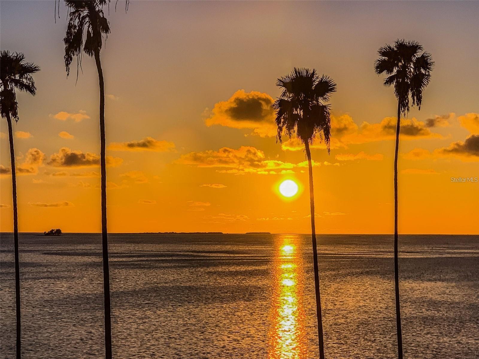 SEASIDE WOOD - Residential