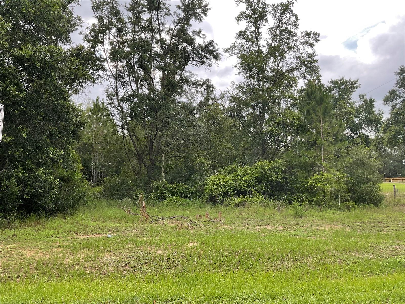 Highly sought after area of SUGARLOAF MOUNTAIN! Planted Pines roughly 14 yrs ago, ZONED AGRICULTURAL, real estate taxes 2024 were $23.00! This 5 acres is high & dry, well & septic system required when you are ready to build your new custom home. This area is an excellent investment as the vacant parcels are few and in high demand and the demand is growing faster. All amenities such as shopping, medical, restaurants, and theater are a short distance.
Drive by and see what you think! Seller is anxiously awaiting to sell this Pine filled 5 acres!