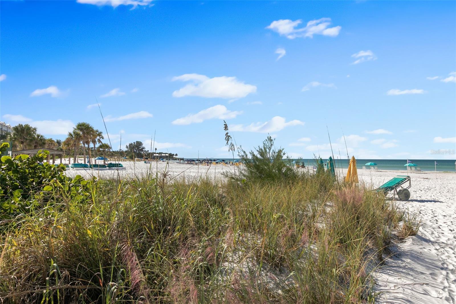 SEASHELL - Residential