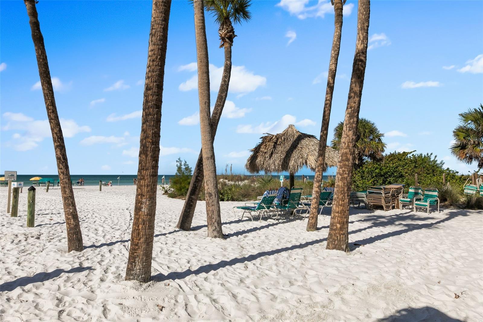 SEASHELL - Residential