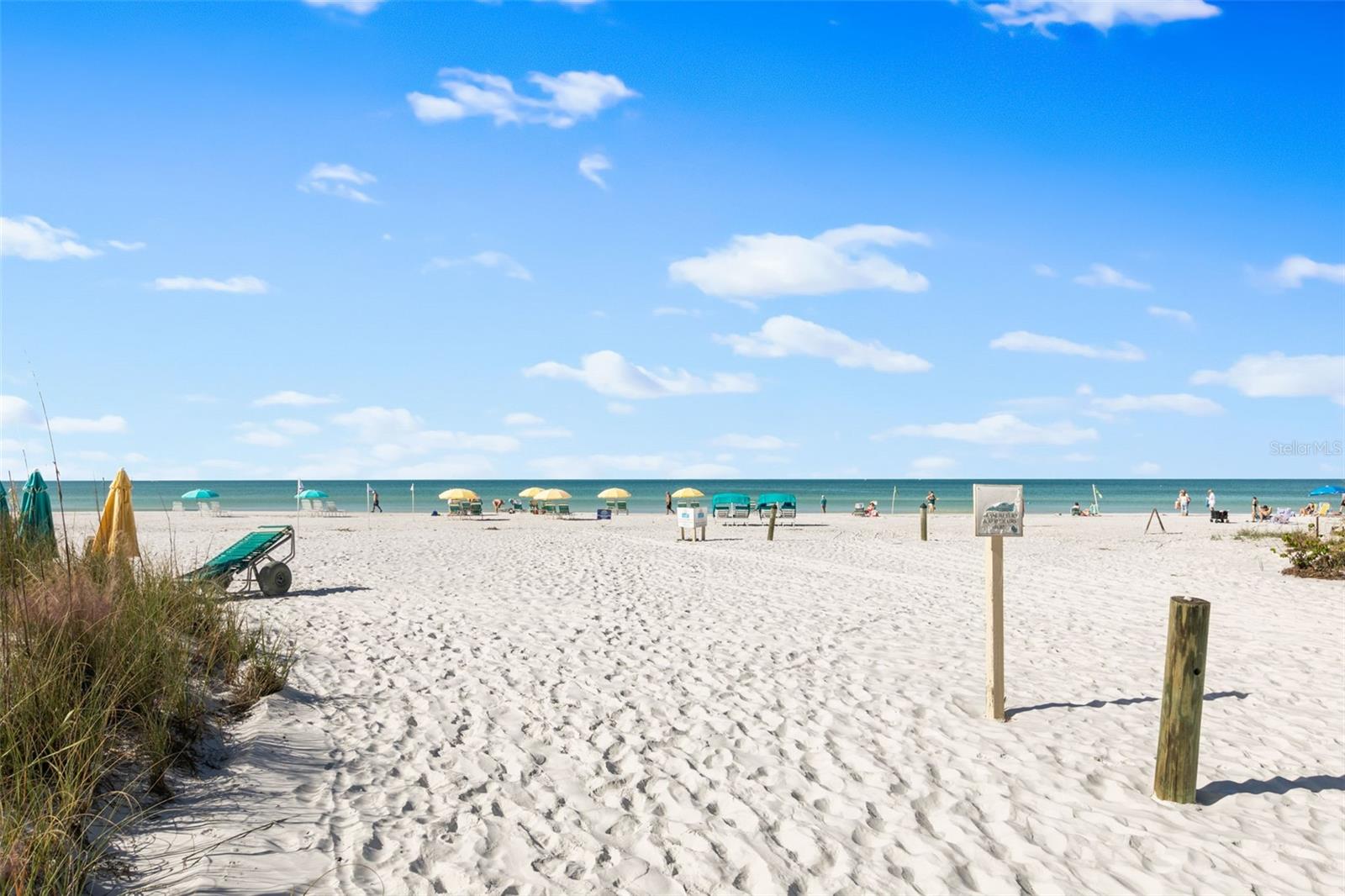 SEASHELL - Residential