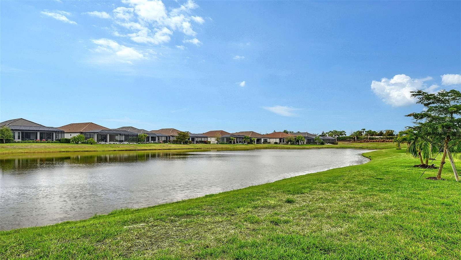 AZARIO ESPLANADE PH II SUBPH C-O - Residential