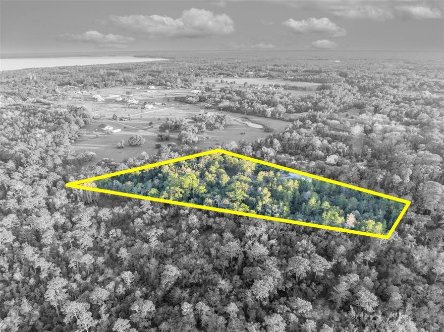 Beautiful 3.9 ± acre high-and-dry parcel located in the heart of Geneva, Florida, offering excellent elevation, natural privacy, and a true Old Florida setting. The property features strong topography and favorable elevation, making it an ideal homesite for a custom residence or private estate. The parcel abuts the Florida National Scenic Trail, providing a unique natural backdrop and immediate proximity to protected greenspace, hiking, and outdoor recreation. Surrounded by larger tracts and rural homesteads, the property offers a peaceful, private environment with room to build and grow. Enjoy the best of country living while remaining conveniently located near Sanford, Chuluota, Oviedo, Lake Mary, and major roadways for commuting. Ideal for buyers seeking acreage, elevation, and long-term land value in one of Seminole County’s most desirable rural communities.