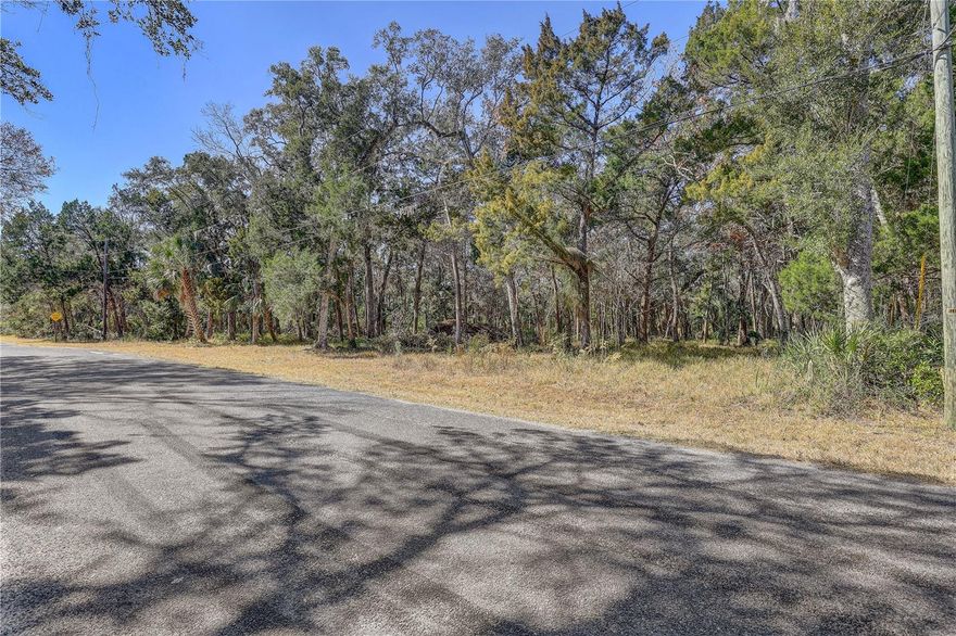 Discover the perfect setting for your custom home on this beautifully wooded 1.4-acre parcel ? the largest of the 14 homesites that enjoy access to the private communal docks. With generous space to design and build, this property offers a rare combination of privacy, size, and direct proximity to the water.

Located directly across the street from the shared docks, you'll have convenient access to Masons Creek and the scenic Homosassa River just steps from your future front door. Spend your days boating, scalloping, or fishing.