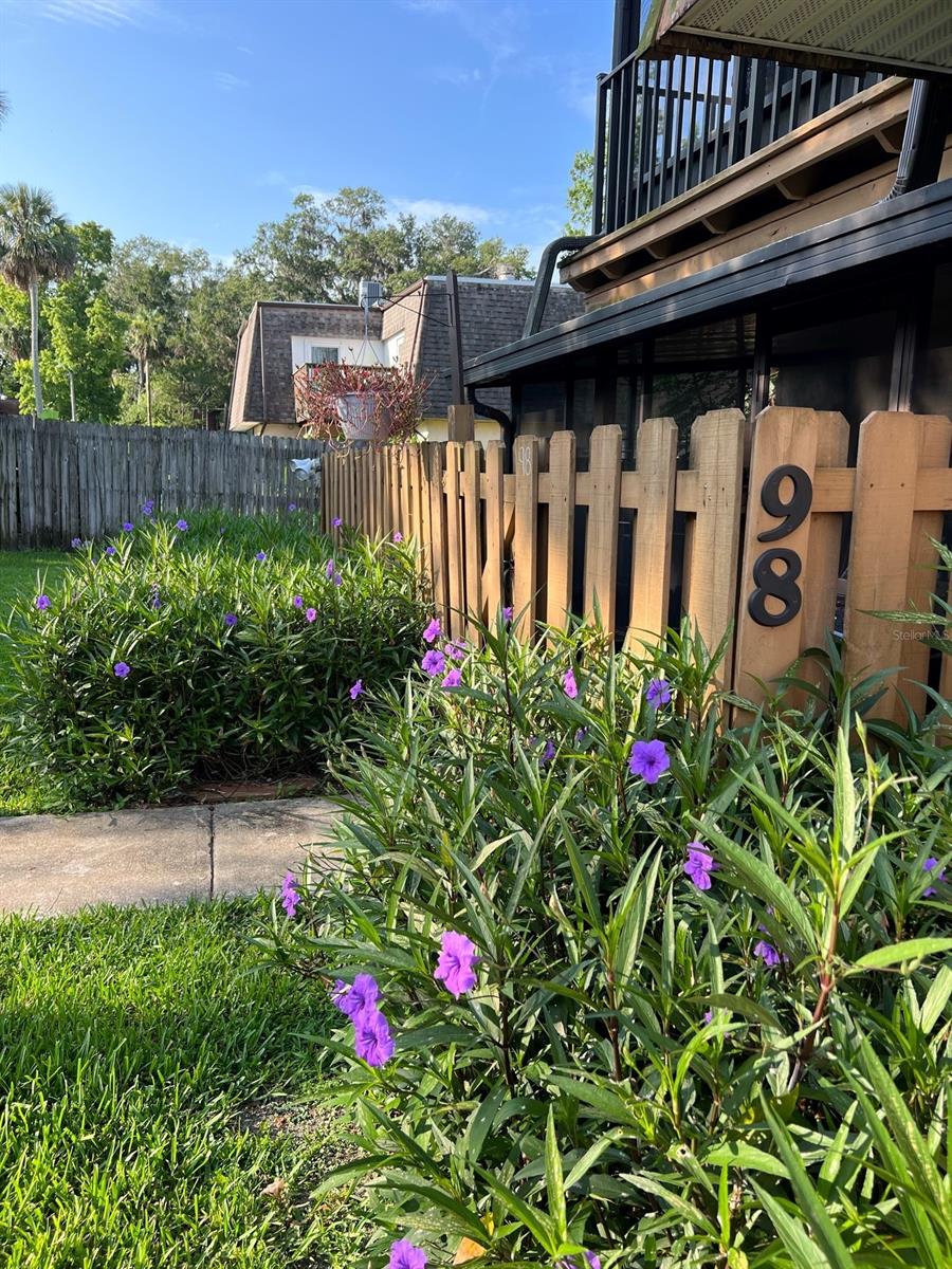 Springwood Village Unit 02A - Residential