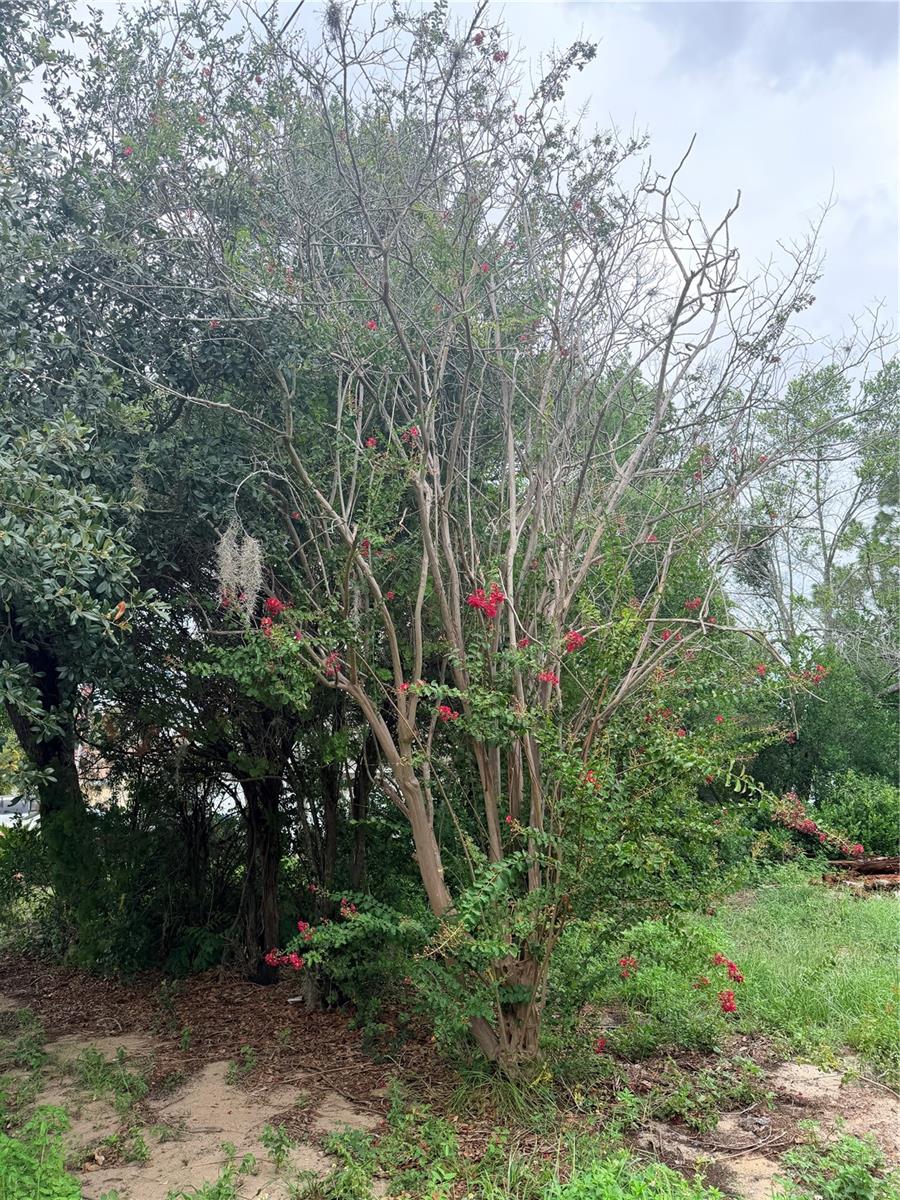 Photo of 11411 Sagamore Street, Spring Hill, FL 34609 (MLS # W7887803)