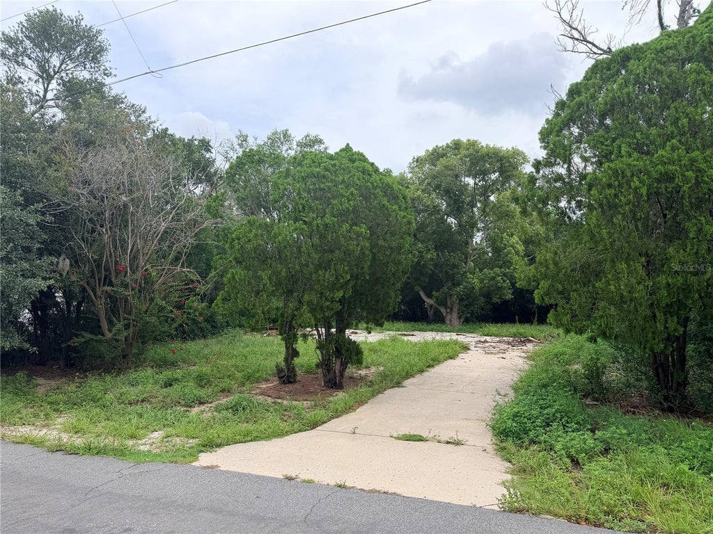 Photo of 11411 Sagamore Street, Spring Hill, FL 34609 (MLS # W7887803)