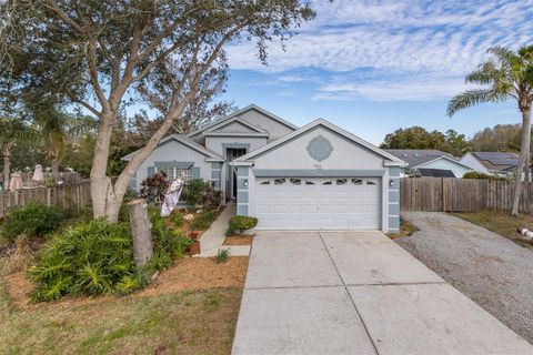 A home in TARPON SPRINGS