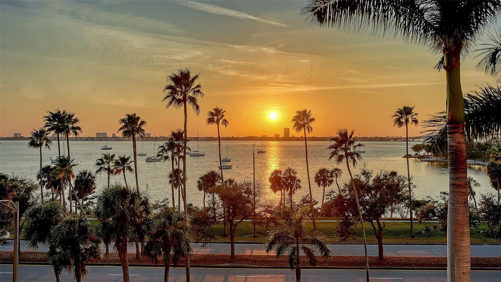 TESSERA - Residential