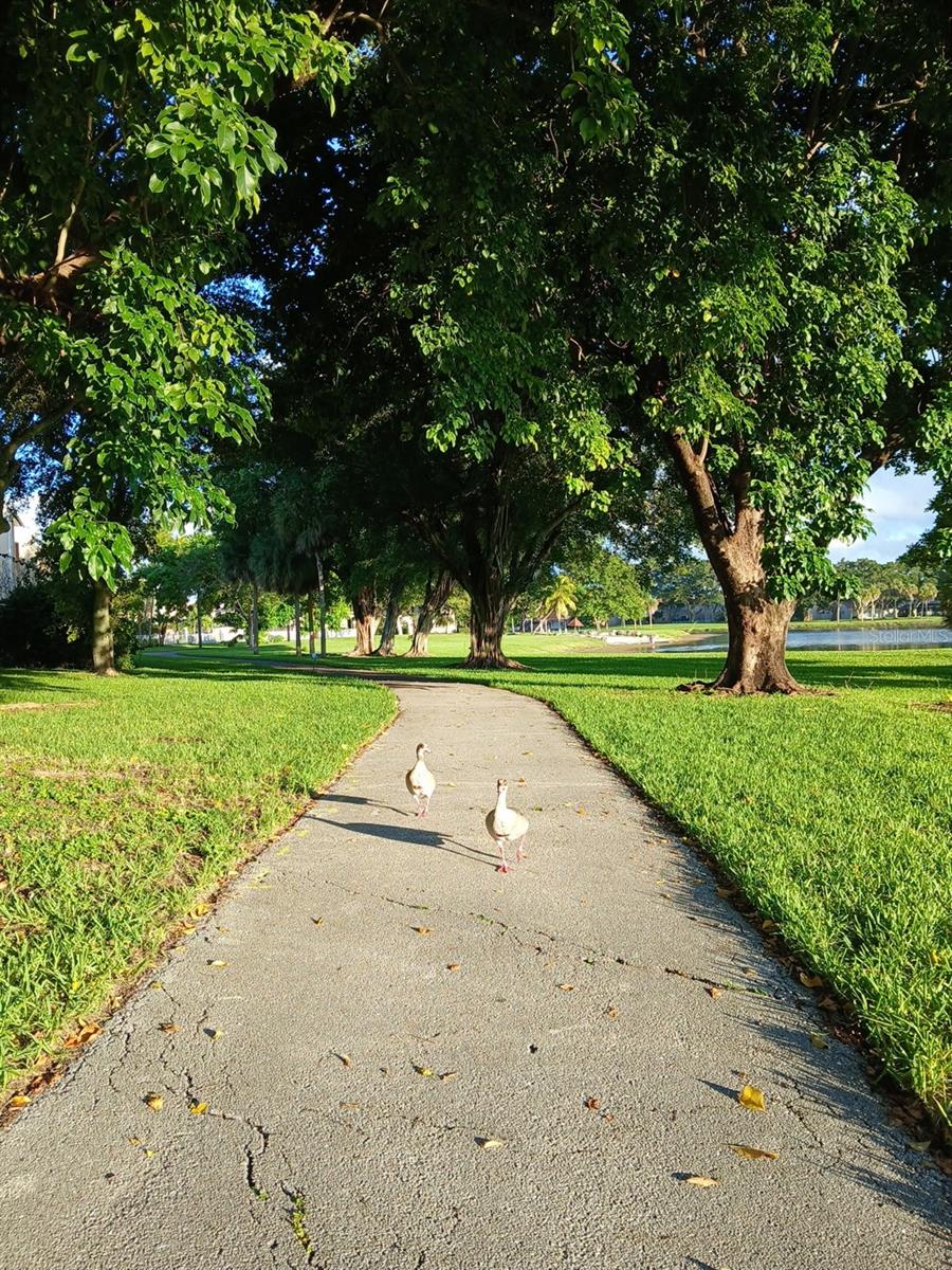 HAMMOCK TRAILS - Residential Lease