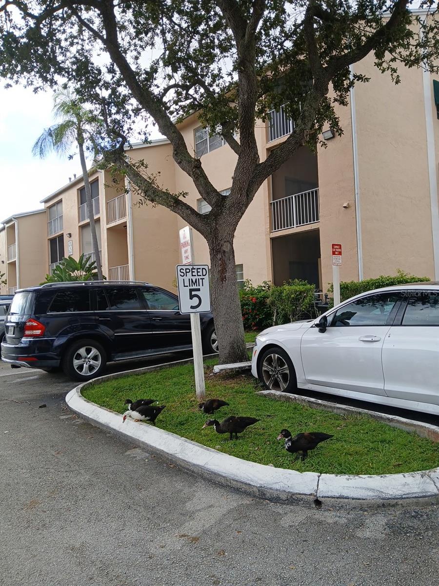 HAMMOCK TRAILS - Residential Lease