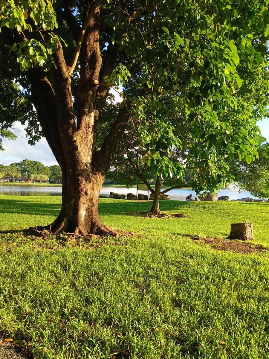 HAMMOCK TRAILS - Residential Lease