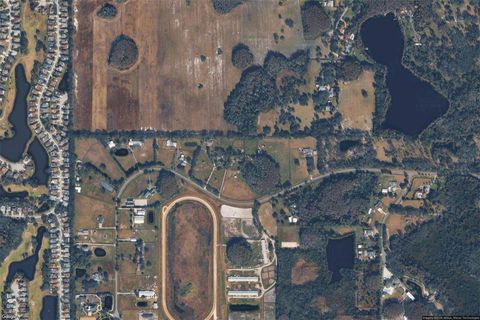 Photo of 11519 Innfields Drive, Odessa, FL 33556 (MLS # TB8470807)