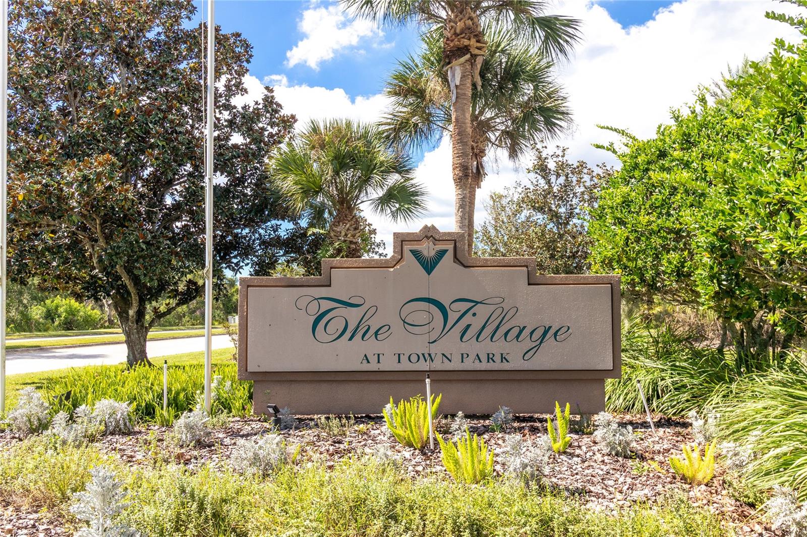 THE VILLAGE AT TOWNPARK - Residential